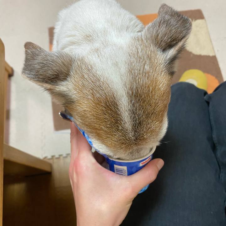 F558faaa 5750 4a80 9791 ab53b5f9a371 1607637448471