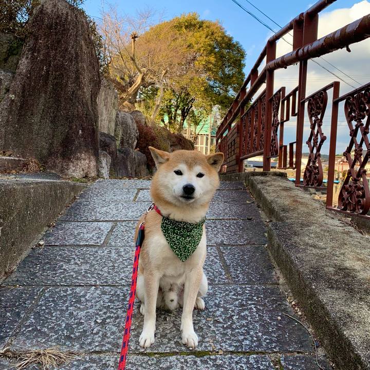 F5597844 cfcd 4fee 9a9d 1d84c4b6b0dc 1675683744731