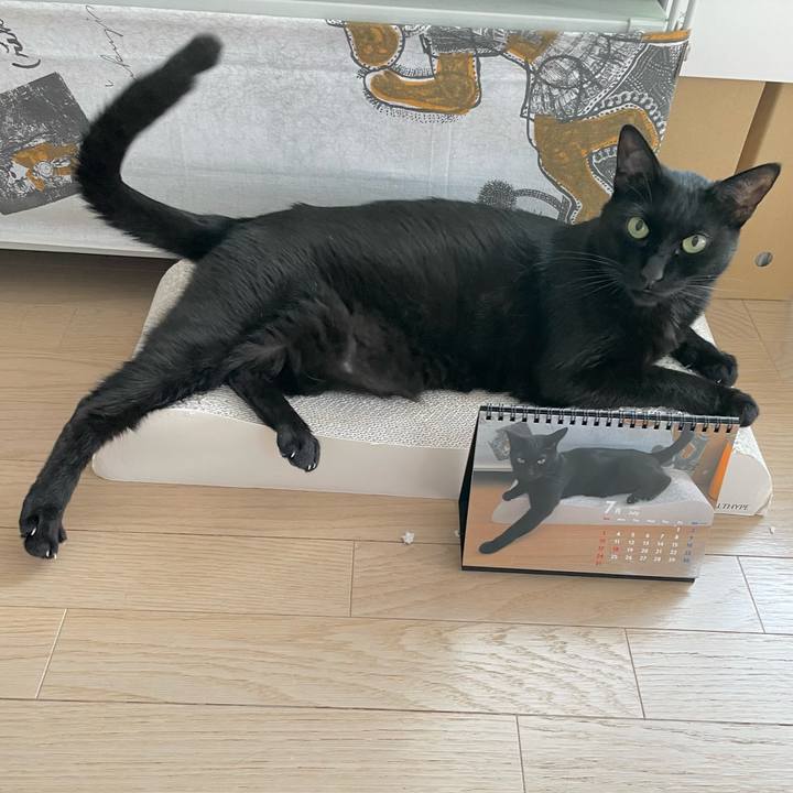 F5599fbc e3f3 4e45 ba7b c81fb42cf3a7 1659316077089