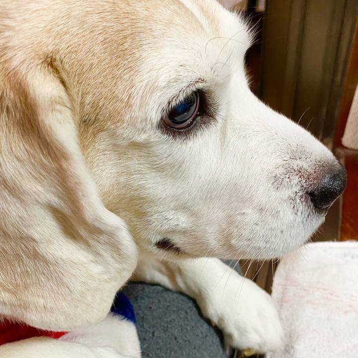 F559a4a9 3494 4a5f aa73 b6f0719b0f4b 1647661451622