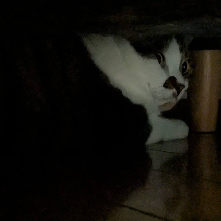 F559d235 a36a 4553 b146 fca838ad7720 1755758010880