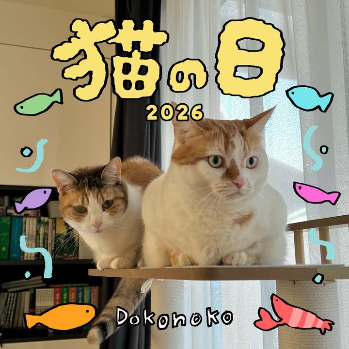 F559f5b7 d829 4e8d 98c1 7d1104be0a5c 1771730546747