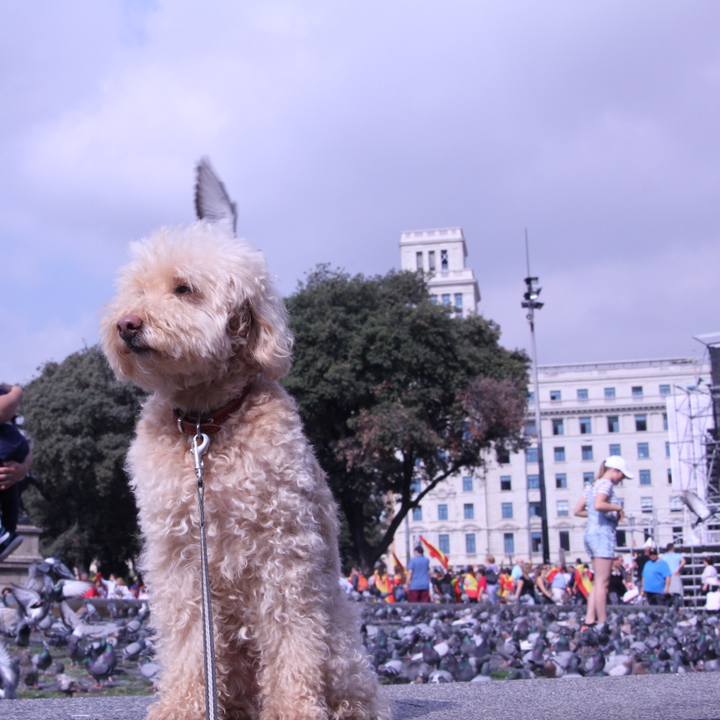 F55a41da c039 49b2 98c1 963a604a4115 1507815712834