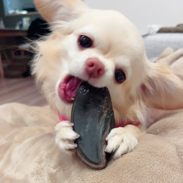 F55a434f 0a1a 42ec 8dbb fbb829f231b5 1740142500325