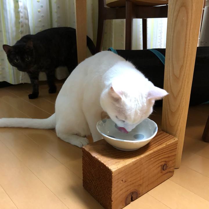 F55a43f0 97b7 4cdc 88fd ed9e70799655 1599652511366