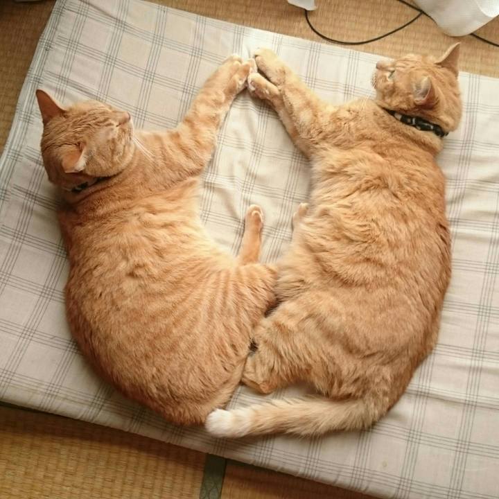 F55a458f 59f5 4509 a0c0 0cc617de0ec5 1536555403086