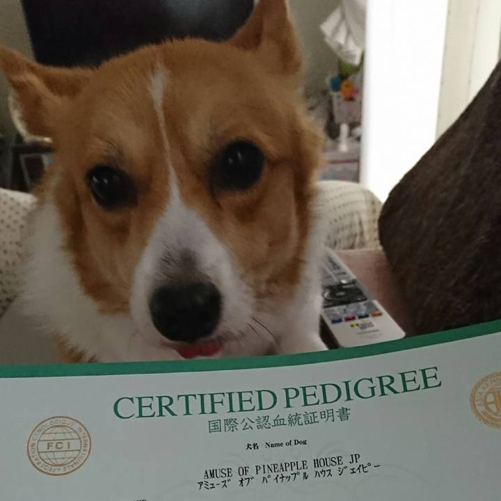 F55a70ab a865 466a 8f5b f362f6814d11 1534765763997