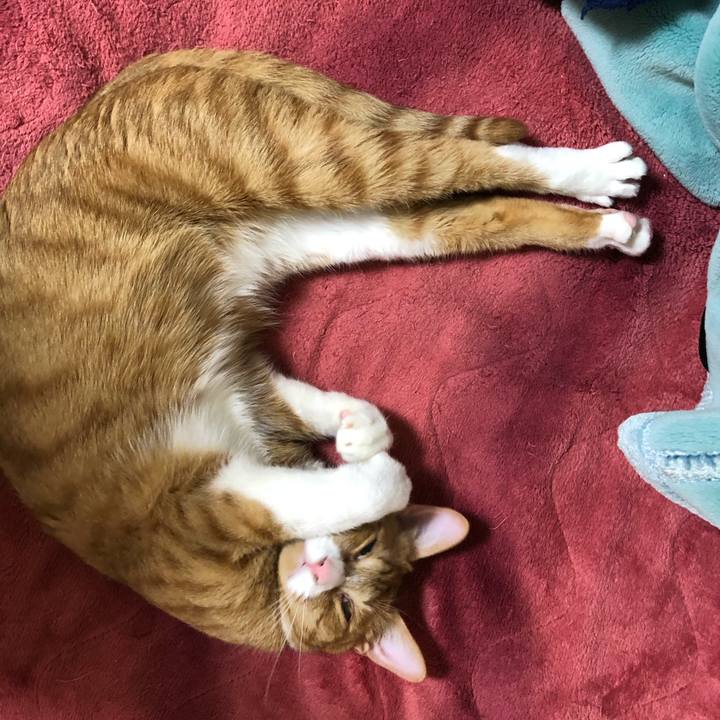 F55a7ce0 ff6f 4220 9949 abf44c457c54 1584526521189