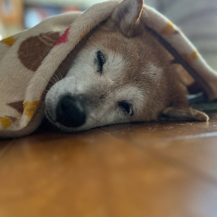 F55a8b16 ad5b 4ca1 9ff5 276c0829613f 1760155837559