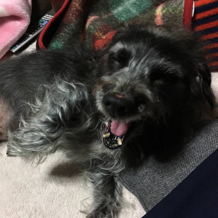 F55aabc2 4513 429d a3c7 b19a1f4e8e5e 1576277542507