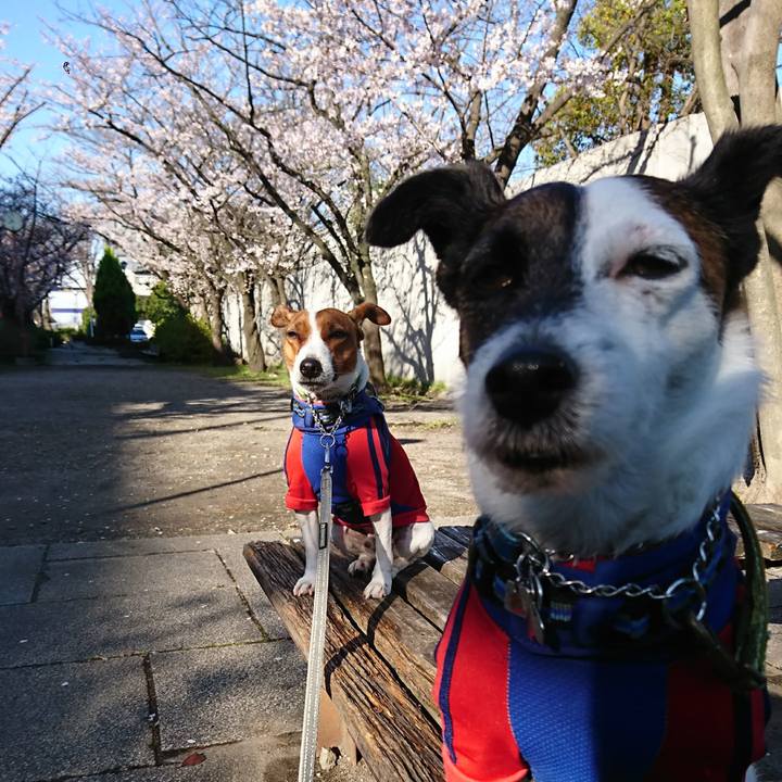 F55ab675 f712 486e 99b0 7945892409d0 1616455351848