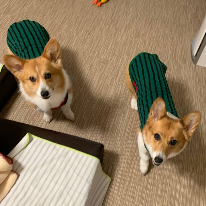 F55aea36 5758 491e a107 b8d994605769 1561613186440