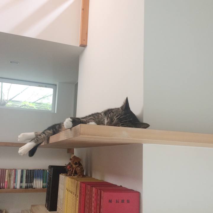 F55b0343 10d1 4718 a932 a3fd45cd7ed7 1536536543133