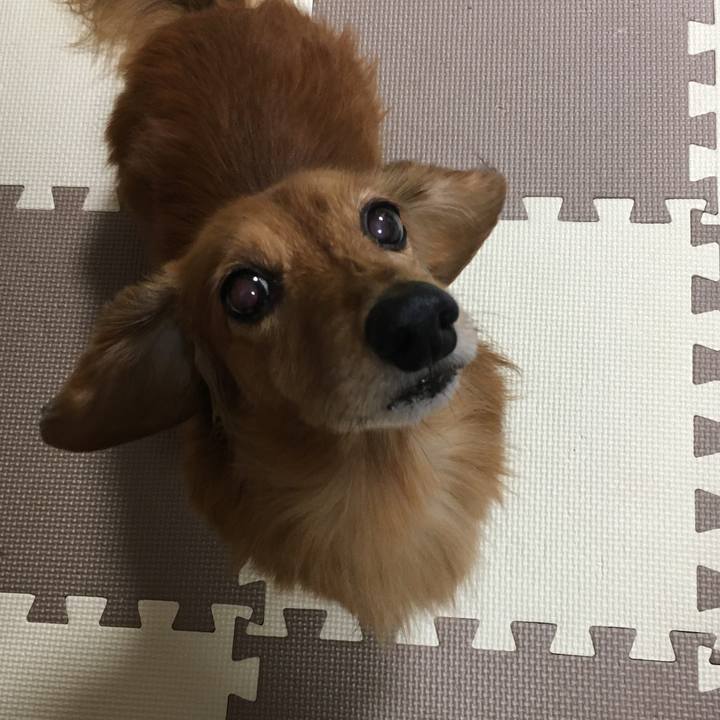 F55b0d8c cced 4fc7 86bf eb12e0bd63b6 1574864975082