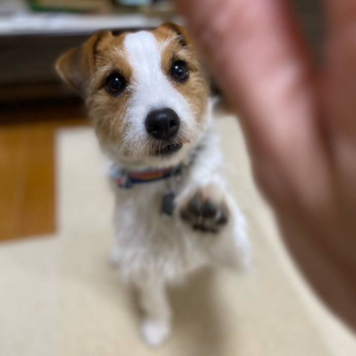 F55b1e4f 3d24 4cf0 8c4d 4c4f88feac99 1711285863943