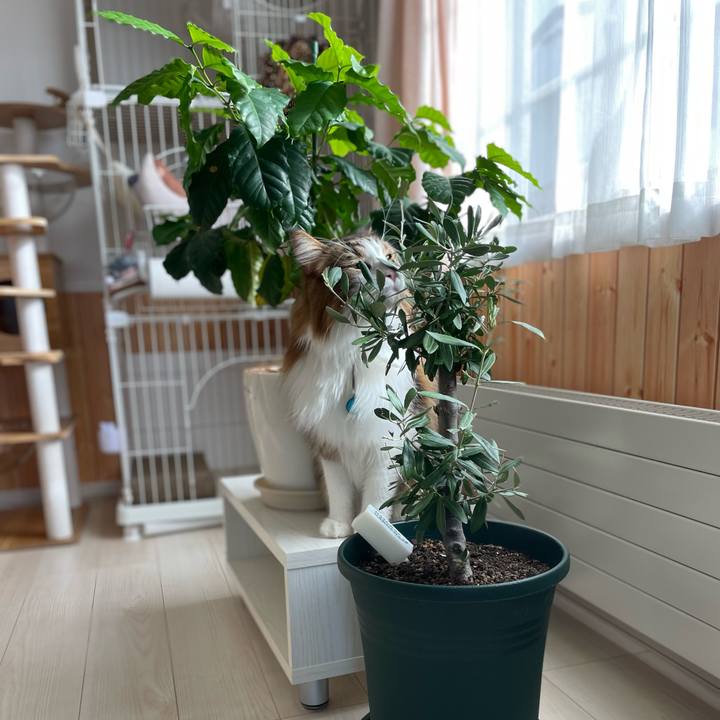 F55b36f1 4d54 4210 bc86 0255f73ce3a5 1732405126686