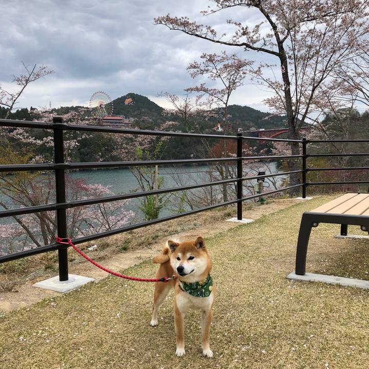 F55b42e2 d51e 456d 900c 7697565feda5 1522920587144