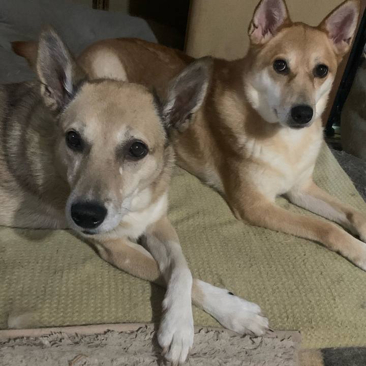 F55b8655 d609 4d0c af32 399618beec30 1690704127169