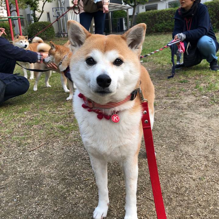 F55b8719 ab8f 43ce 93d1 59cc4a190ee7 1585955047185