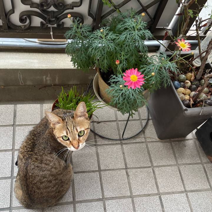 F55b972c 2428 436e 8e86 d27806393588 1679284922939