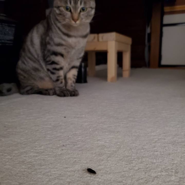 F55ba772 a69a 42b5 8d78 199c930544db 1706630291151