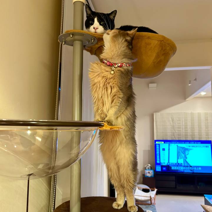 F55ba93c e2df 4cdd 8b9b 00f21750fb67 1765802423712