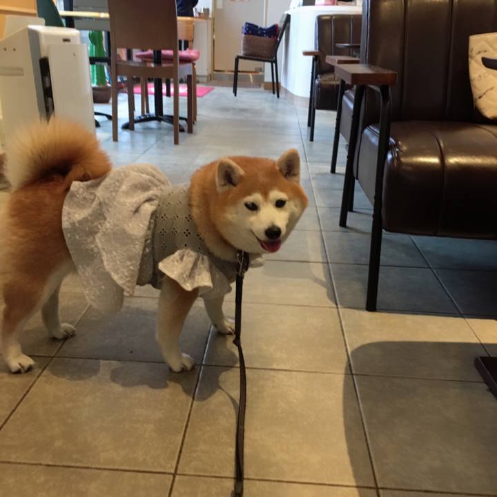 F55bb342 d9a9 46c6 9187 ea0fad87a429 1555589202926