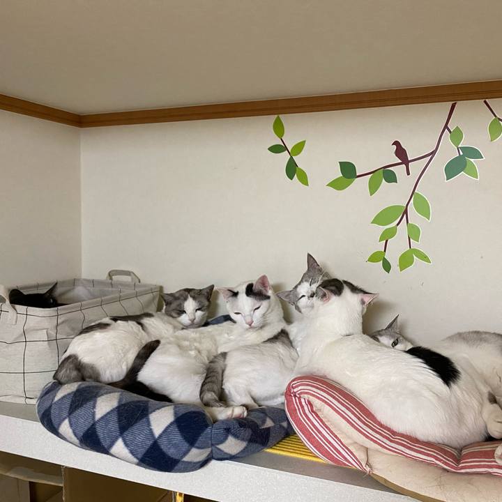 F55bc660 e20d 47cf 8ba4 590f81bdd1aa 1611472264601