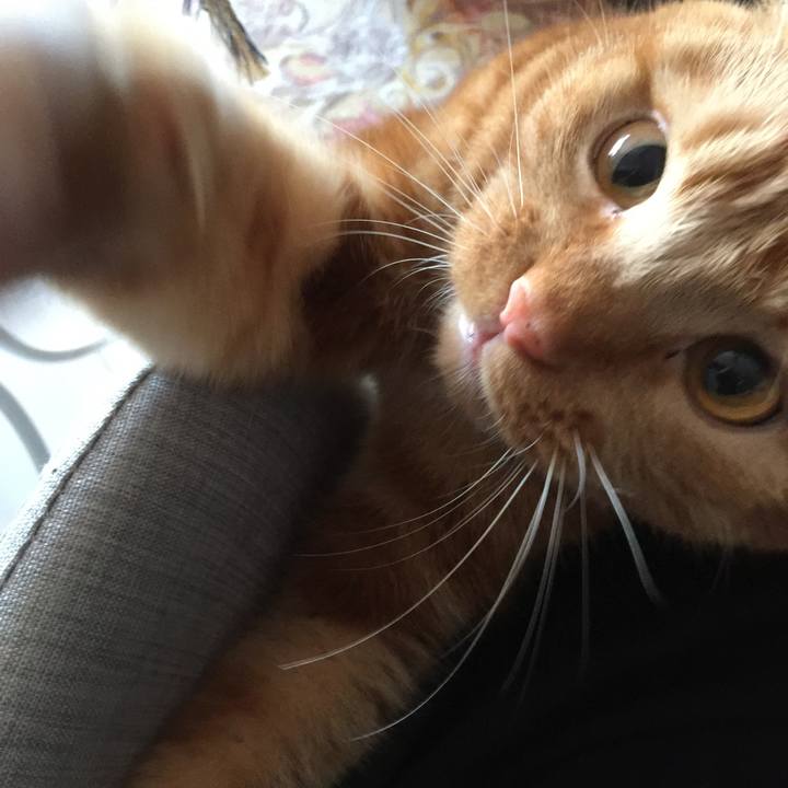 F55bcafb 88c3 4b71 a90d 6c7cd808f0ff 1540010302902