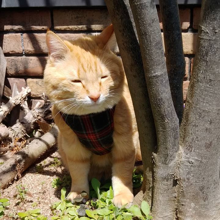 F55be816 fd3f 4691 998b ba4c54c370ef 1586658264596