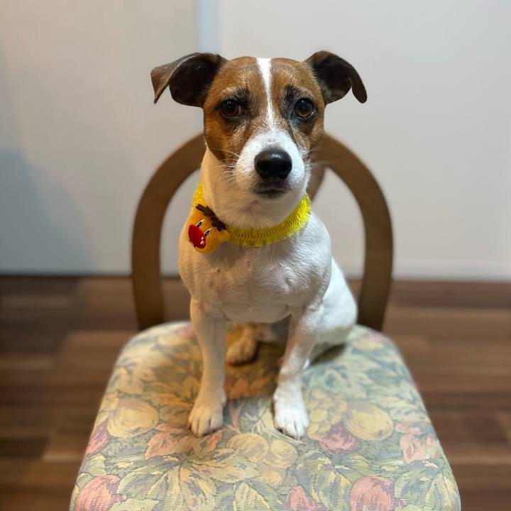 F55be817 72ee 44d8 9f76 997f1db36334 1702460721989