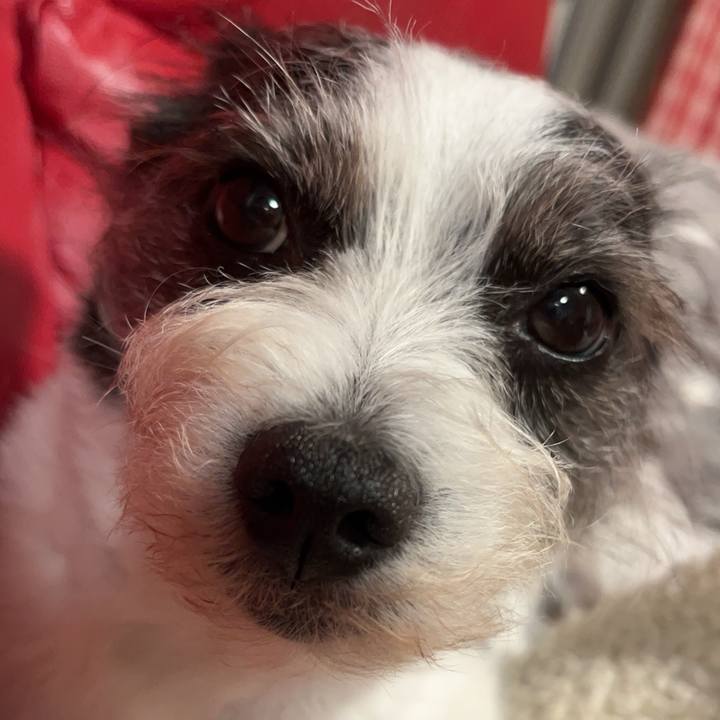 F55bfccf c21c 440c ad56 4dd06bc72e66 1749077351066