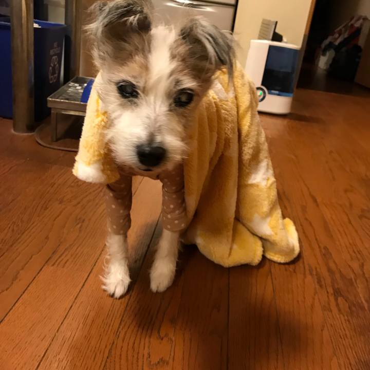 F55c055c ca92 4457 a1bb d6214c9ebbd1 1511607063651