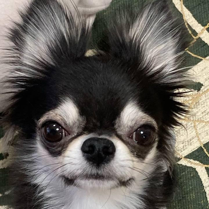 F55c10f0 d3ad 4def ac97 fc61a69318e0 1641770994169