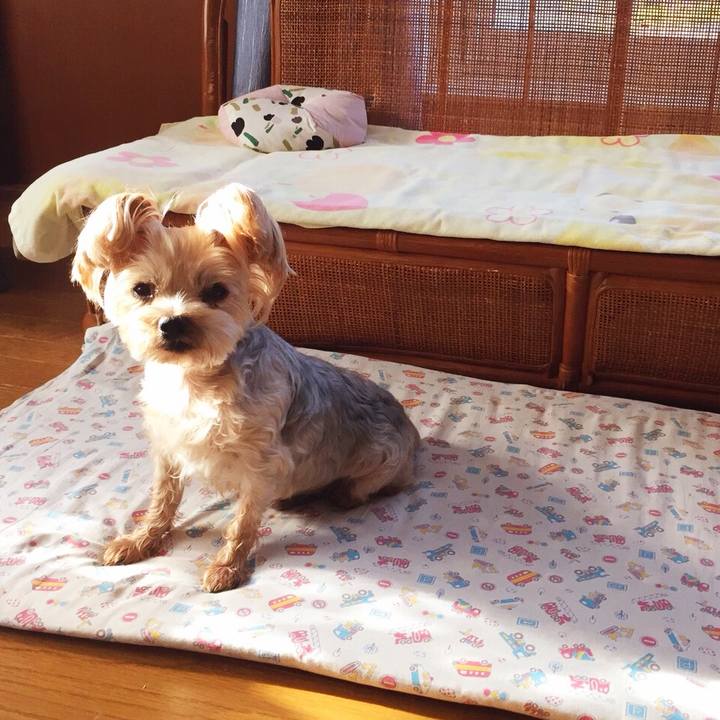 F55c213e ac9a 4099 93bd d43854cefaf9 1536617500386