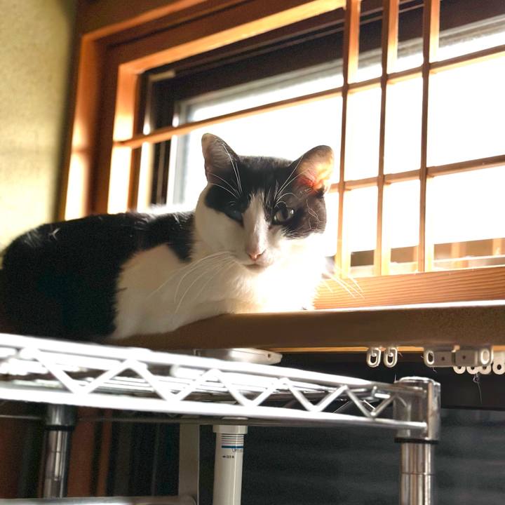 F55c4541 5d64 43af 8326 06ae2a7ace20 1696467752509