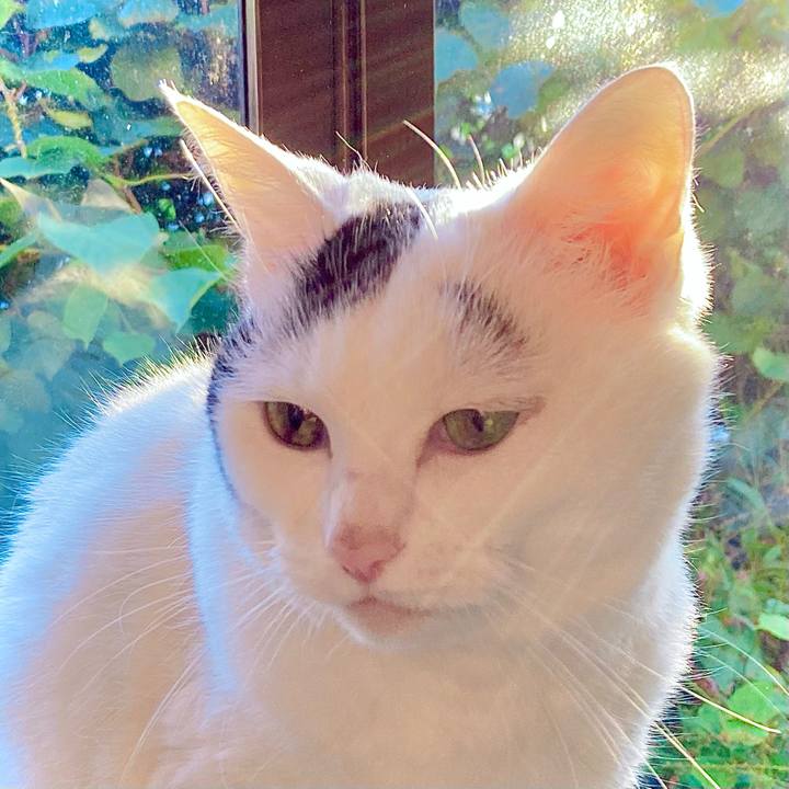 F55c4b99 f018 49ee b06c b5e02b8444bd 1664512058246