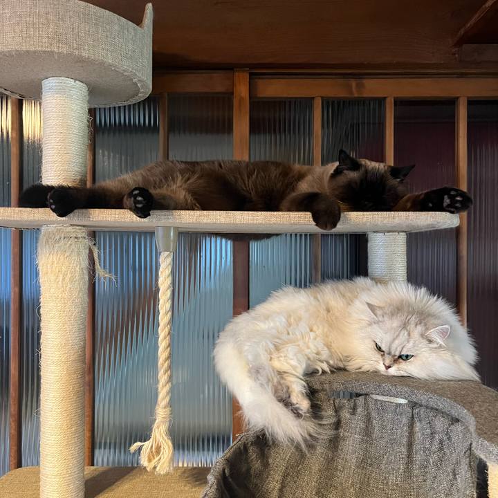 F55c6756 8e08 4428 afbf 61c102fe35fb 1673435129427