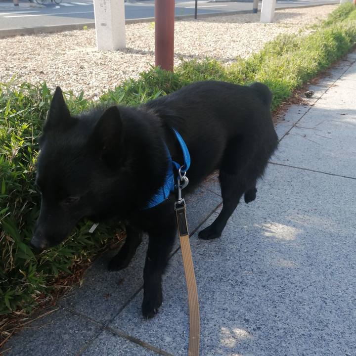 F55ce47c fd68 4dc3 9cb6 c64d011b7fe0 1622242068734