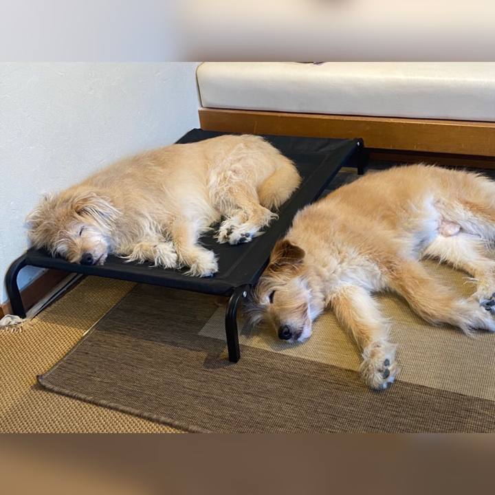 F55cf512 ea1a 432b 911e d64c8e26285a 1632064218132