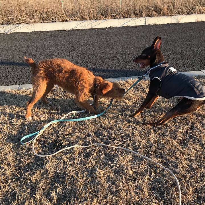 F55d03d4 1686 41a7 a3de eb541d2f2bc6 1547465180479