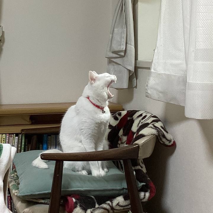 F55d0d8e 442f 4d9e b3e8 cab4f42a4737 1702599212295