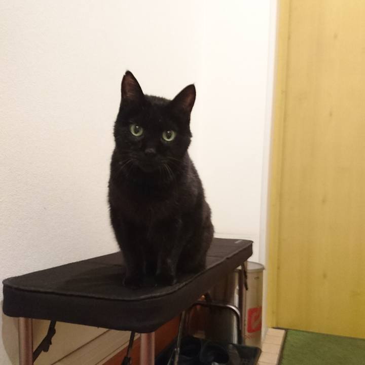 F55d4d7e 3758 42f2 bca2 03aeadc4b1fa 1541808821444