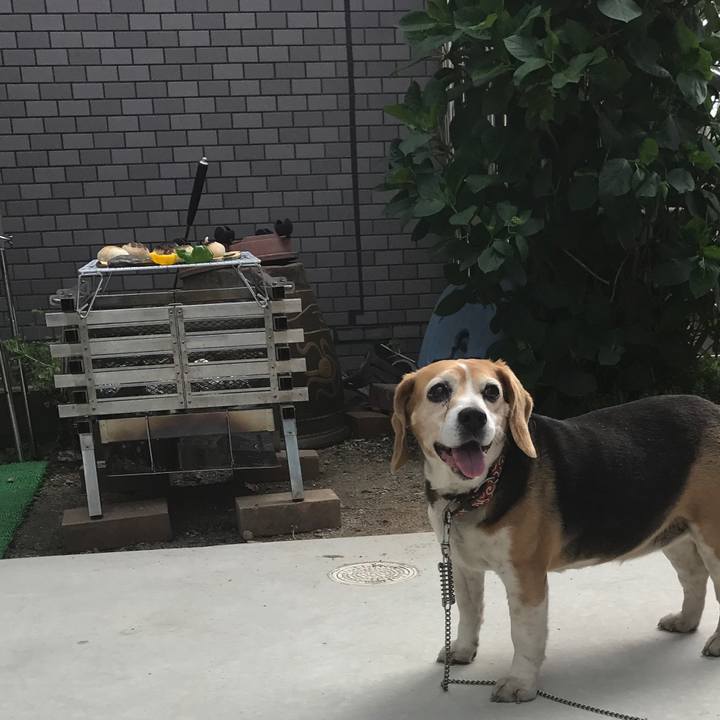 F55d977d 1146 4e72 b24e a317c97441df 1525080657028