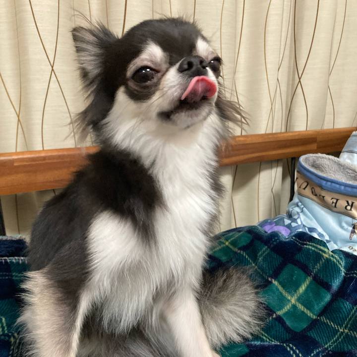 F55daaa5 5509 4496 a907 c59399ba8872 1641818184102