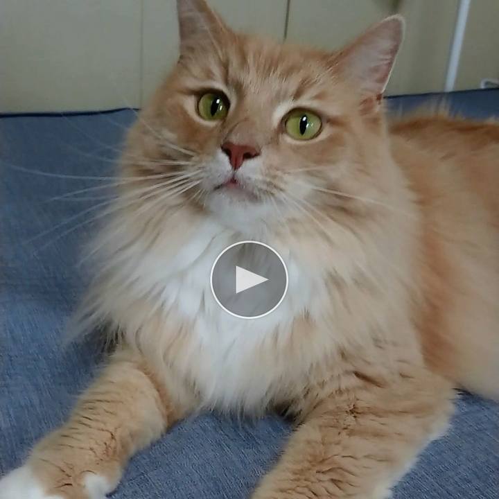 F55db613 f17d 4be8 b850 9513e03911fd 1562387498467