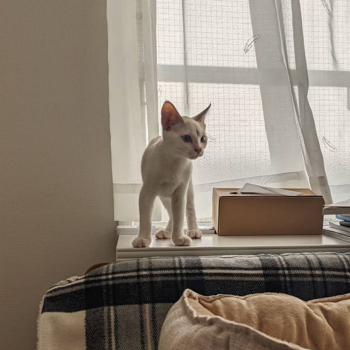 F55de9d1 7517 4384 8d60 0af263535010 1689725092735