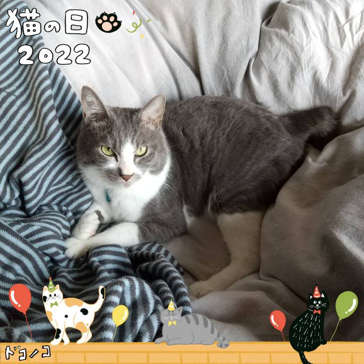 F55df574 da77 4f21 b520 f71b7bc4e7d5 1645489871799