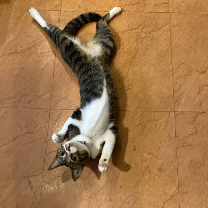 F55df5f8 374c 4a8b ba5c 0e64efe8a8c4 1662455009091