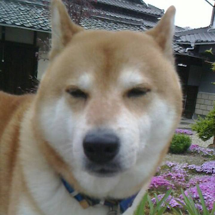 F55e0644 c194 414f a366 e445be13557f 1555490946377